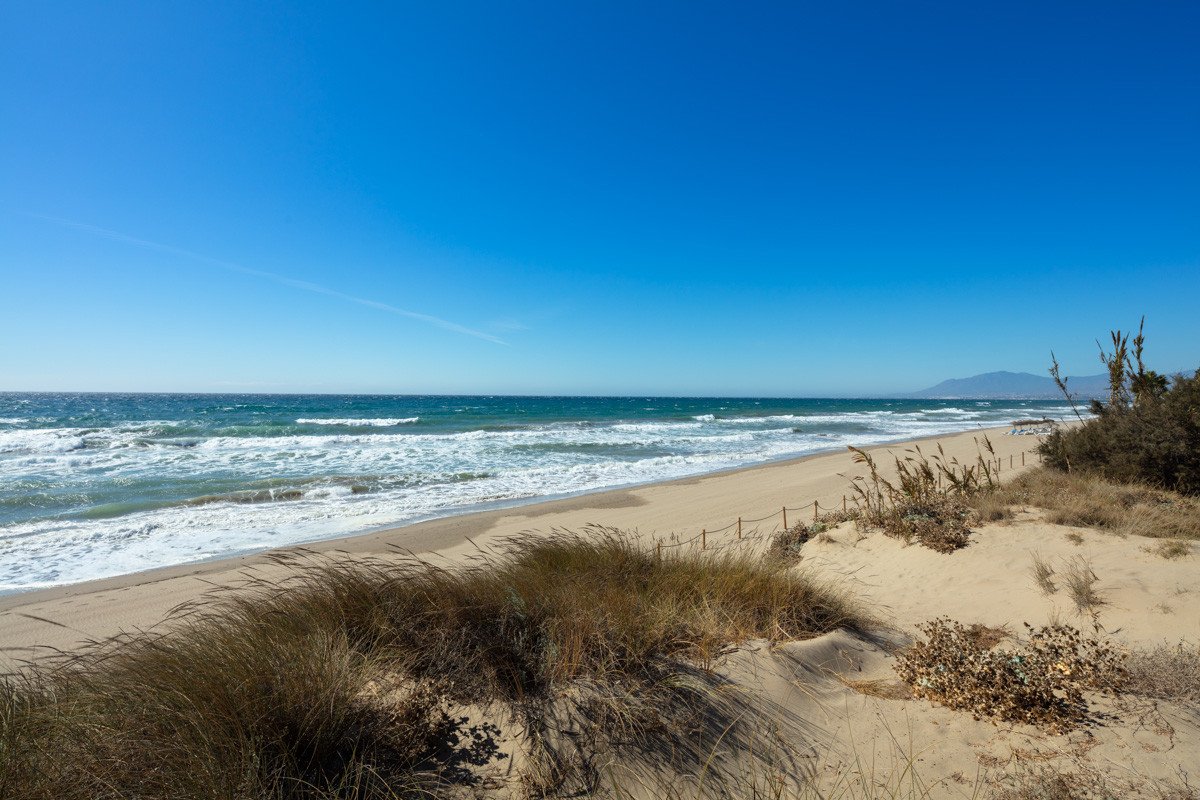 02 photo