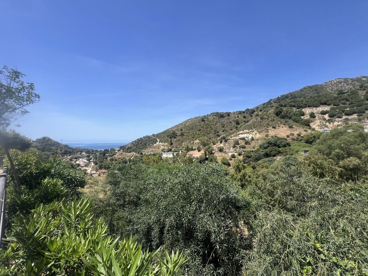03 photo