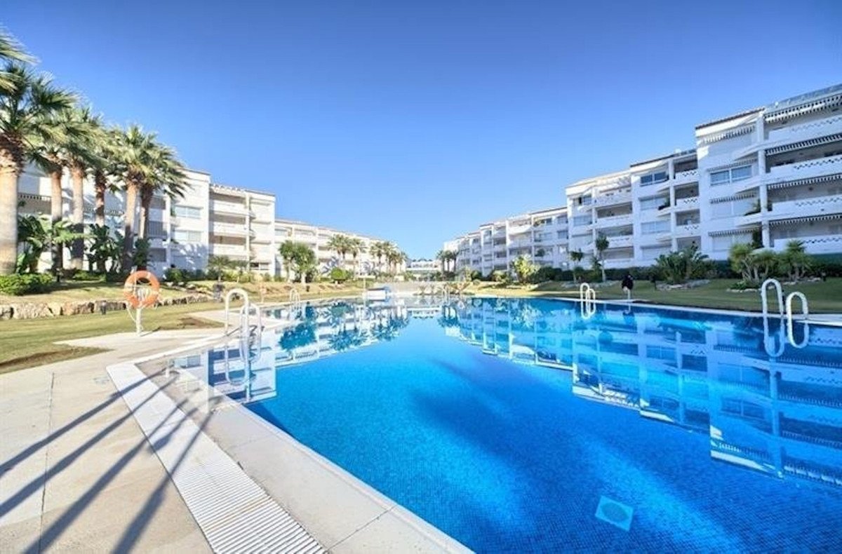 A large, bright blue communal swimming pool with palm trees and modern apartment buildings in the background under a clear sky.