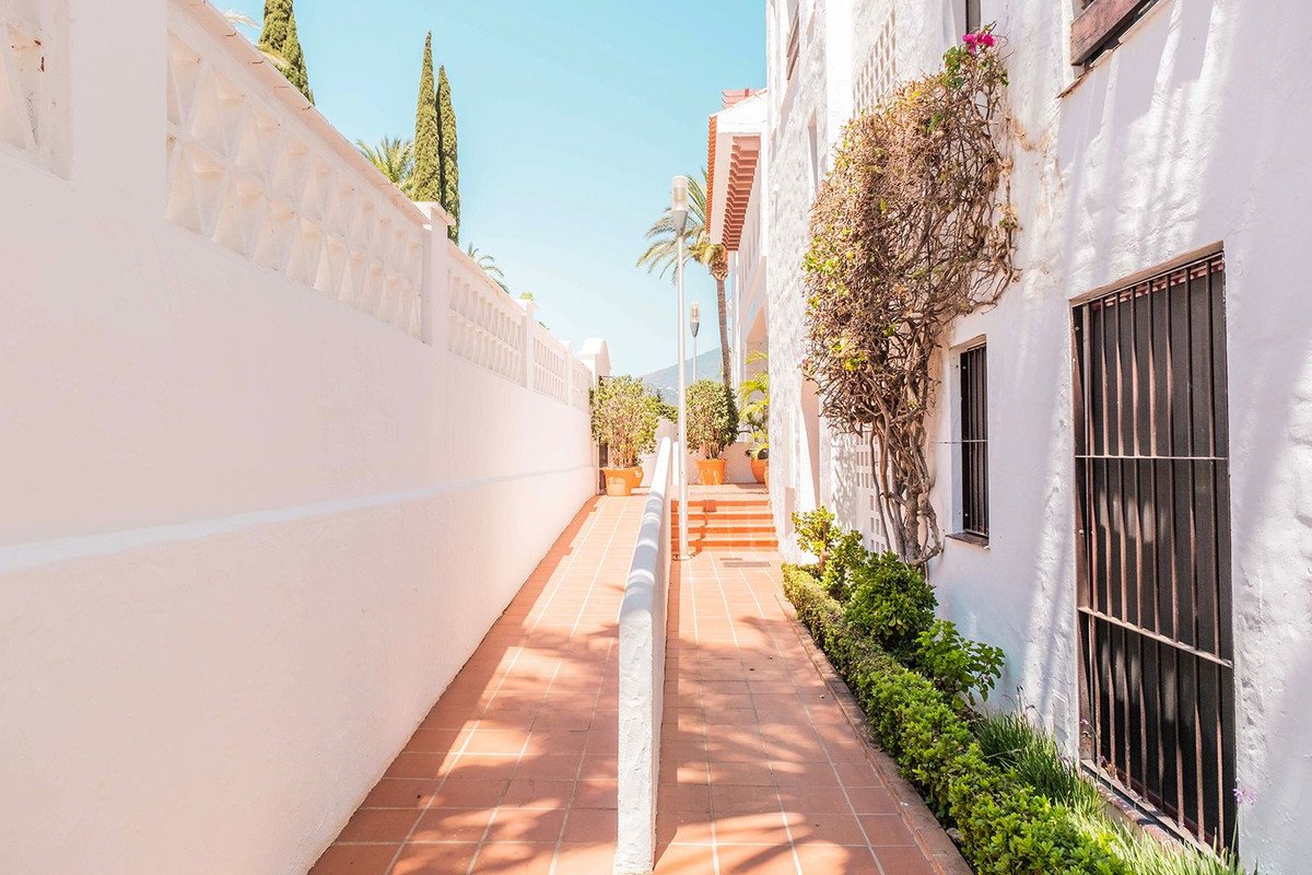 Sunlit pathway with terra cotta tiles and green plants leading towards stairs, flanked by a white wall and a building.