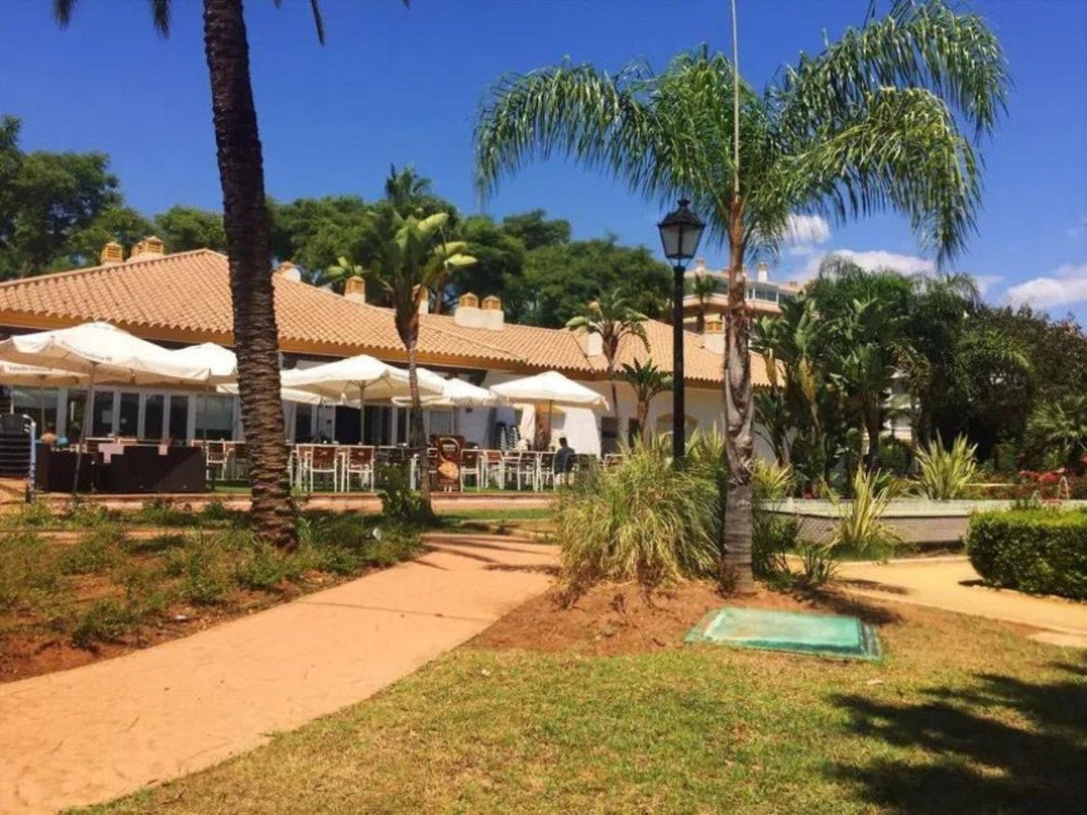 Outdoor terrace seating area with umbrellas and palm trees on a sunny day, overlooking a building.