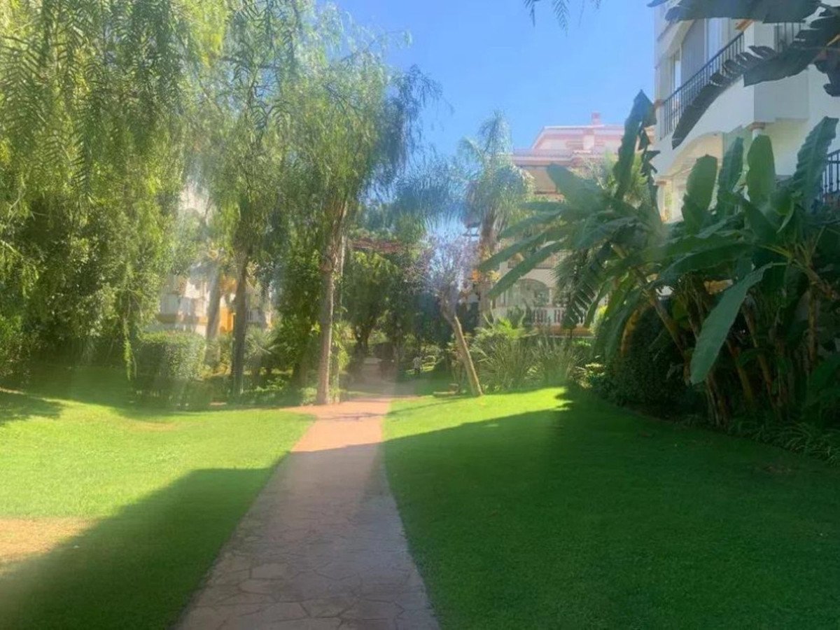 A paved pathway leads through a lush green garden with tall trees and tropical plants, with buildings visible in the background.