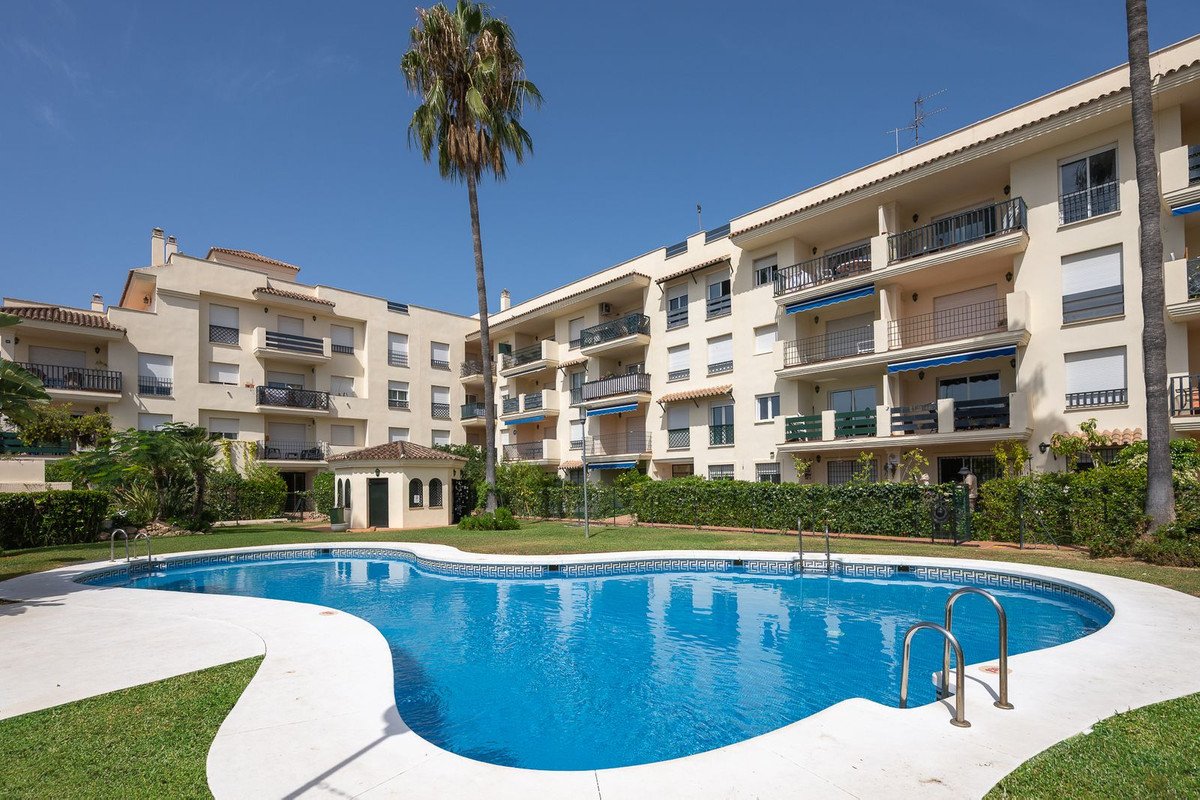 Apartment complex with a large swimming pool in front and a tall palm tree. Balconies overlook the pool area.