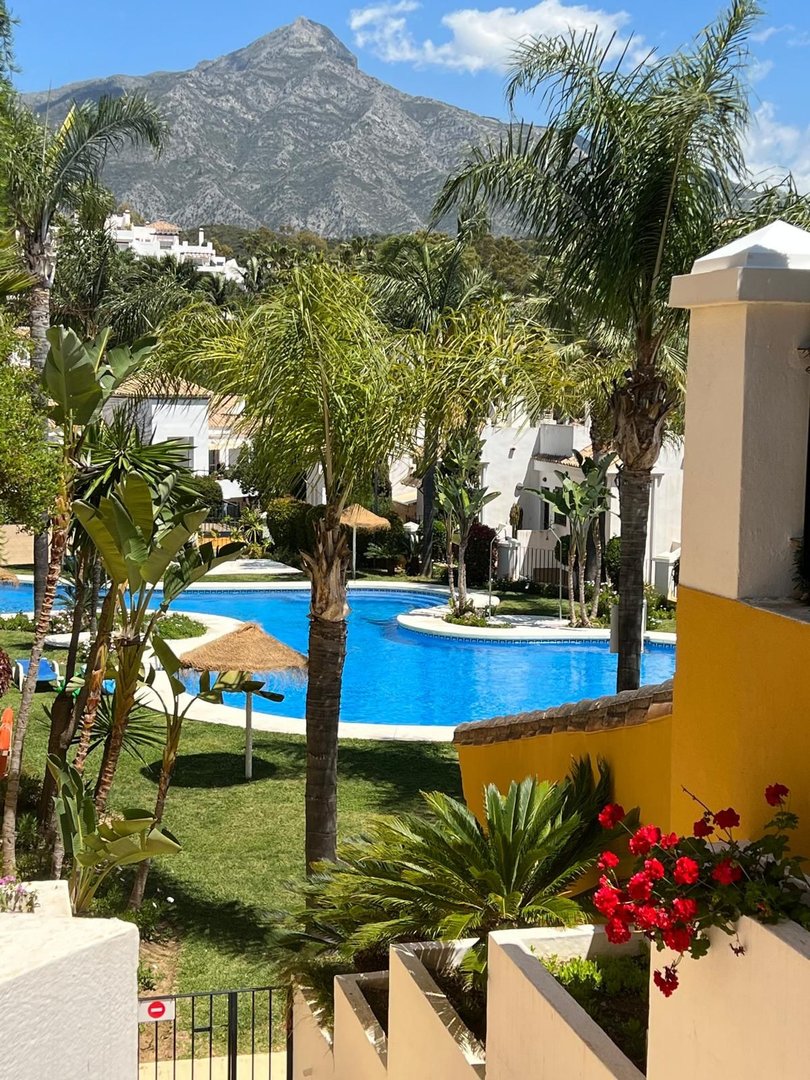 A bright blue swimming pool surrounded by palm trees and manicured lawns, with a mountain view in the background.