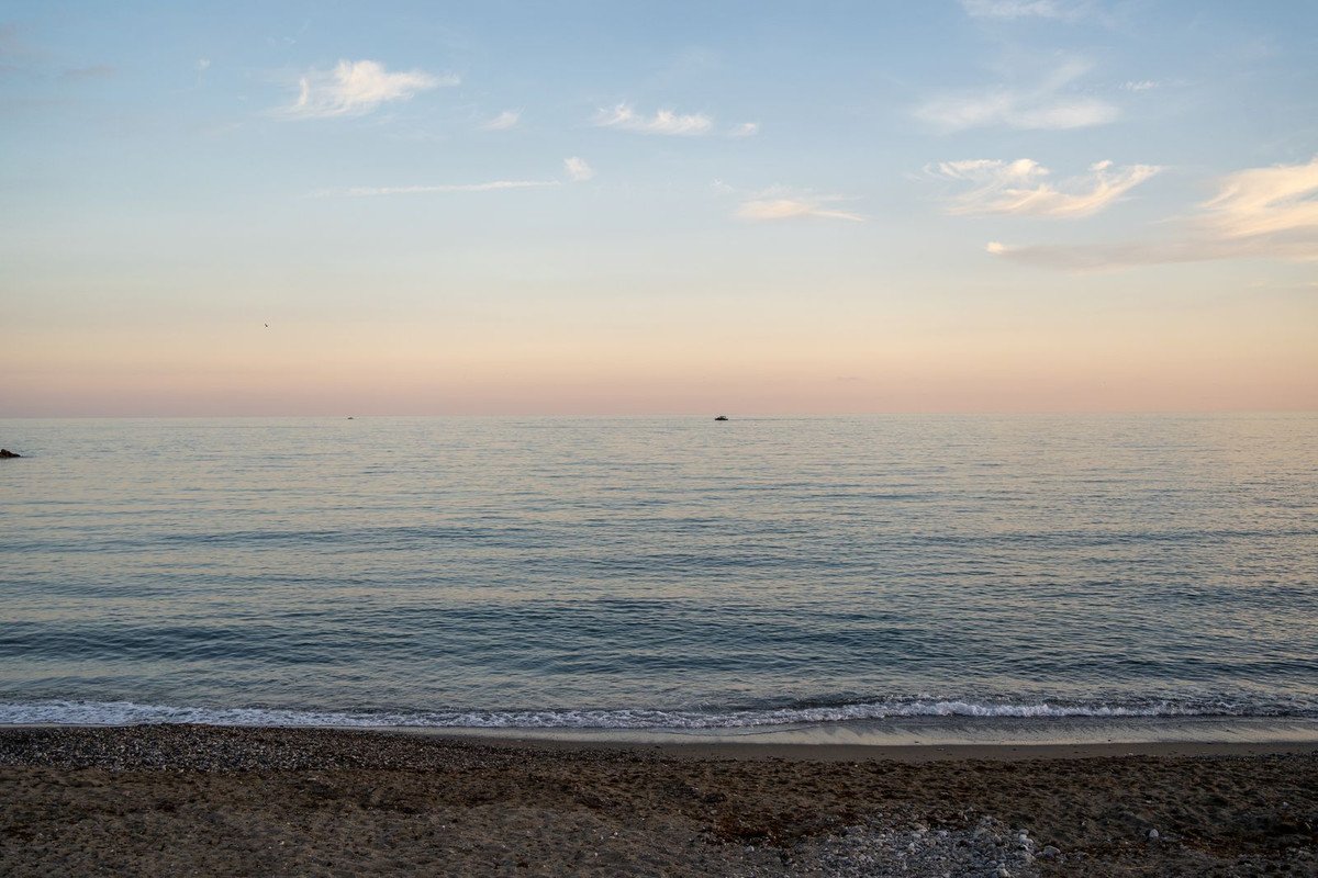 40 photo