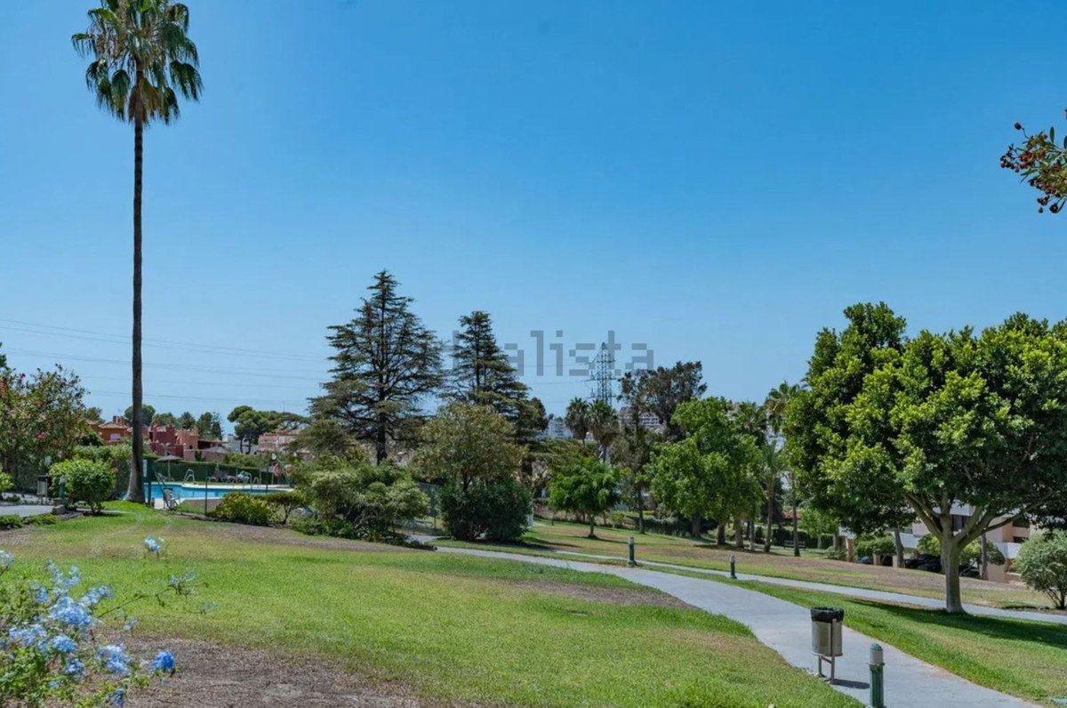 A paved walkway winds through a grassy park with trees, a tall palm tree, and a swimming pool in the background under a clear blue sky.