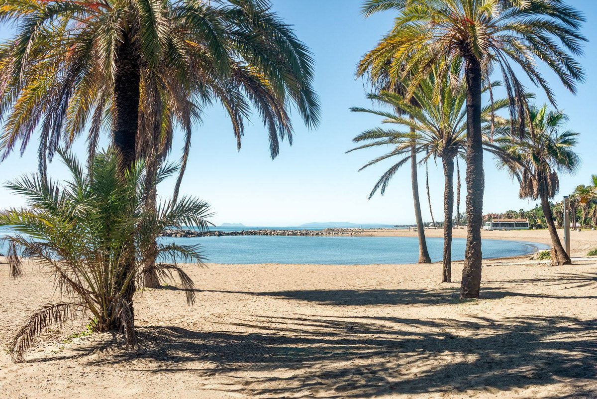 Sandy beach with palm trees, calm blue sea, and a breakwater in the distance under a clear blue sky.