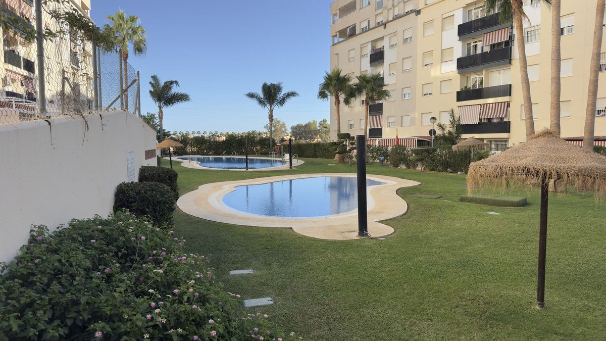 Two swimming pools and a grassy lawn with palm trees and an apartment building in the background.