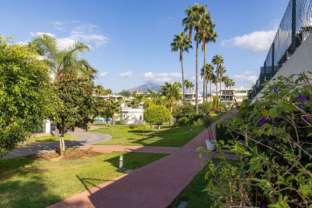 Lush green gardens with palm trees, a brick path, and buildings in the background with a mountain visible under a blue sky.