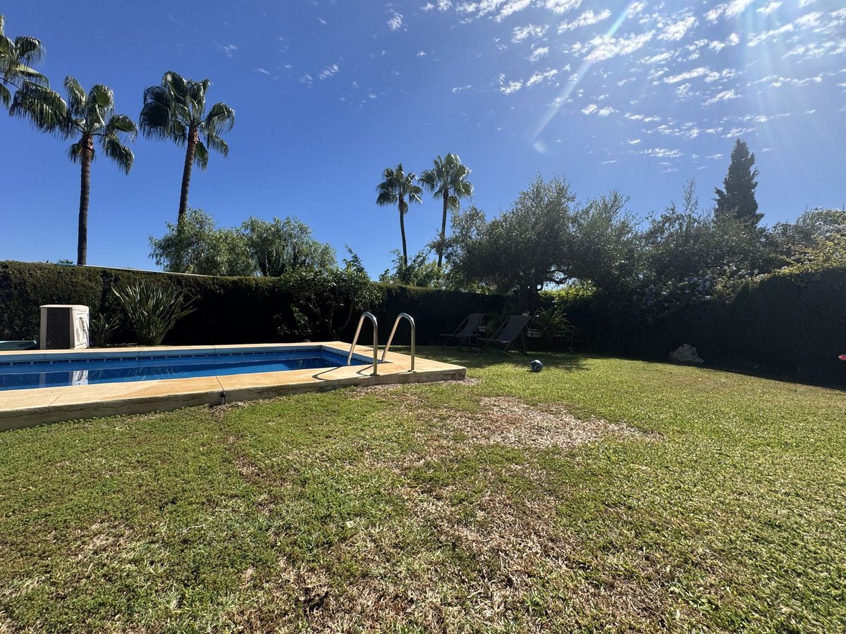 Backyard with swimming pool, palm trees, and sunny sky