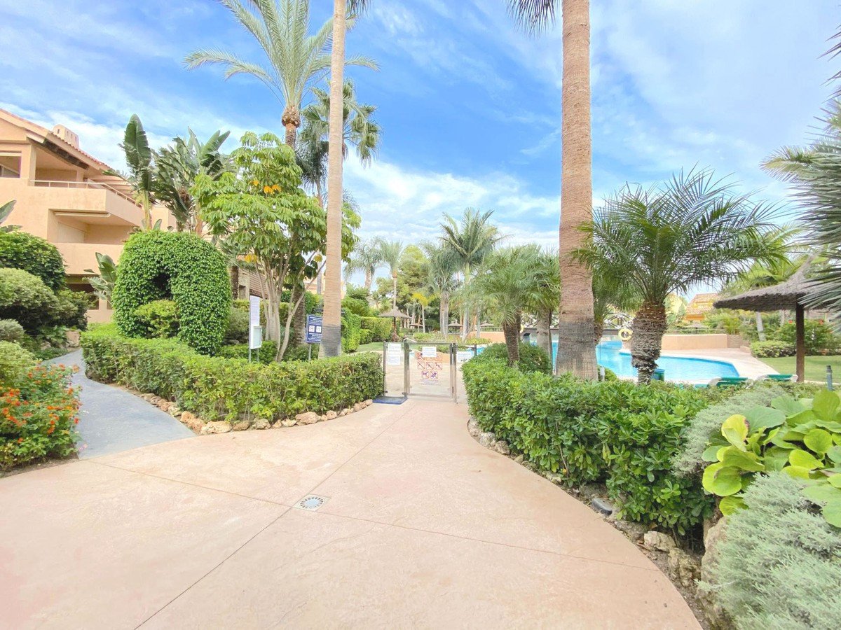 Pathway to swimming pool with palm trees and lush greenery in a sunny apartment complex