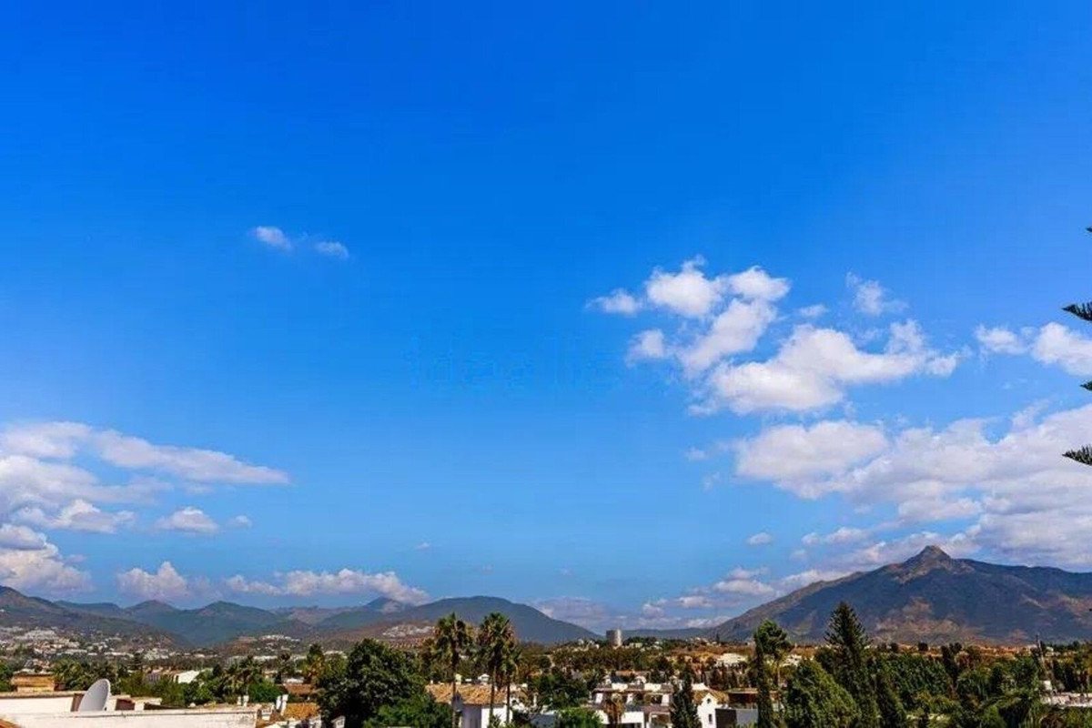 Scenic mountain view with palm trees and a clear blue sky, overlooking a town below.