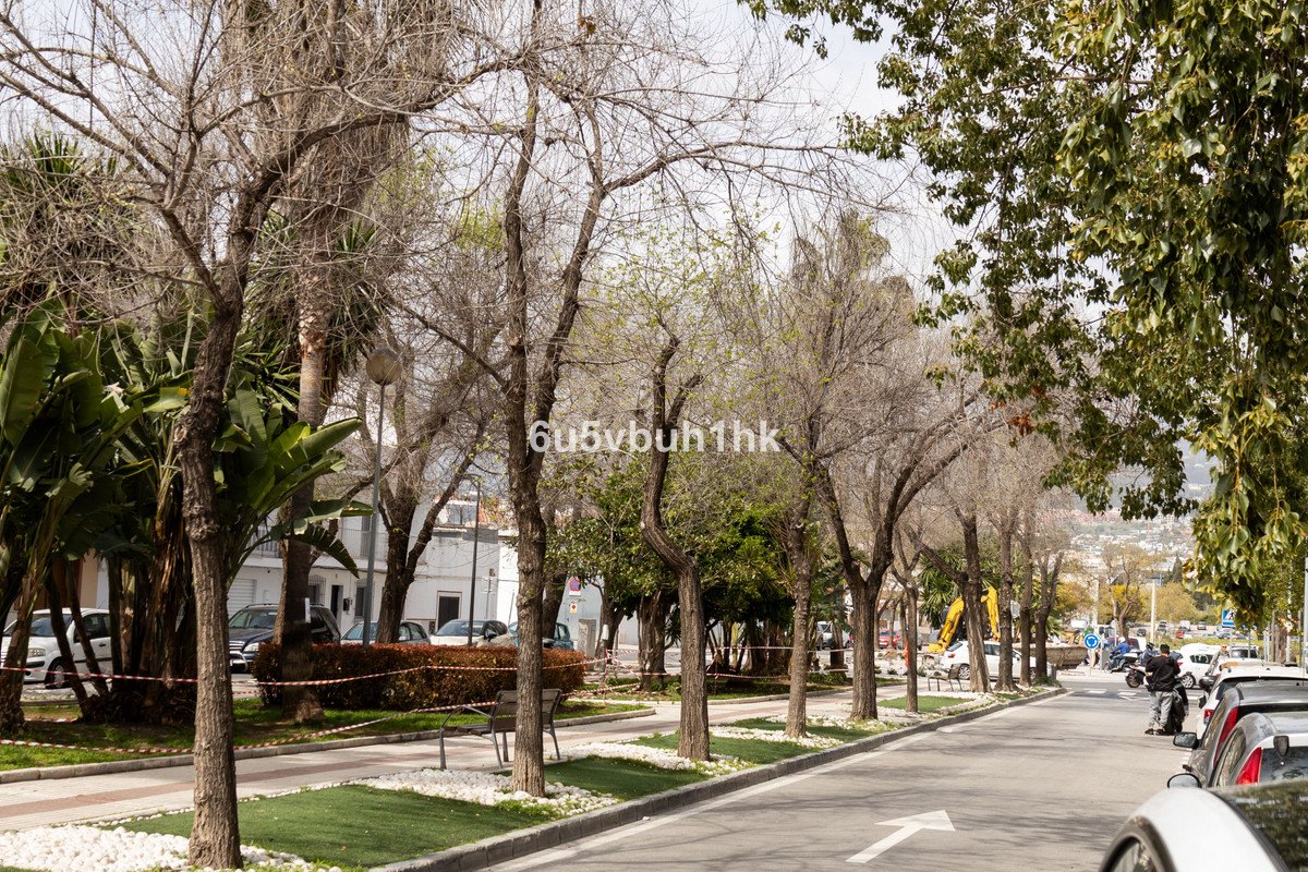09 photo