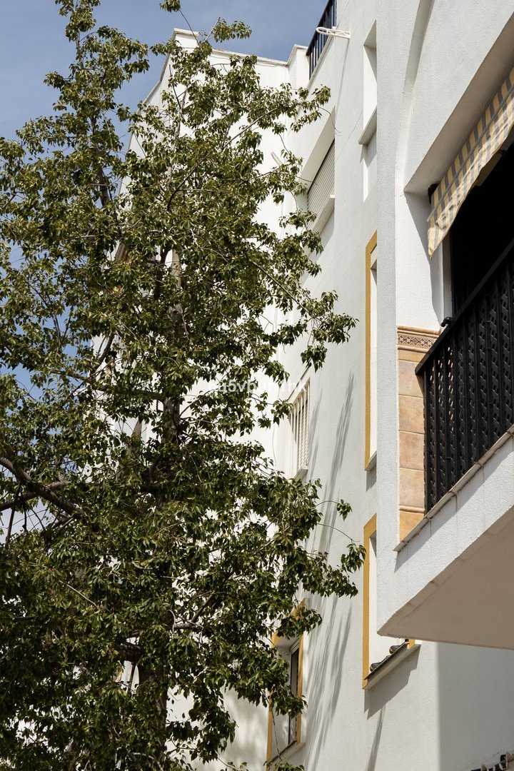 Property in San Pedro de Alcántara in San Pedro de Alcántara — Overige
