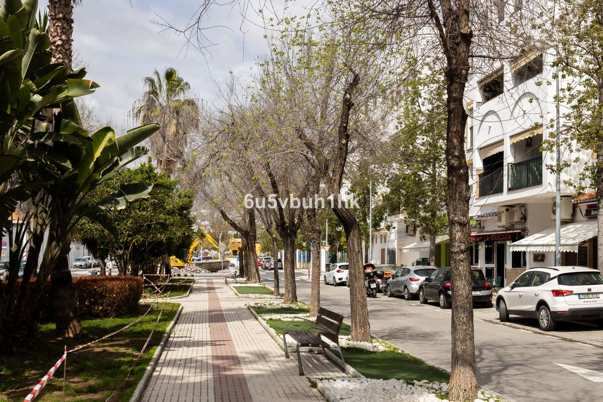 05 photo