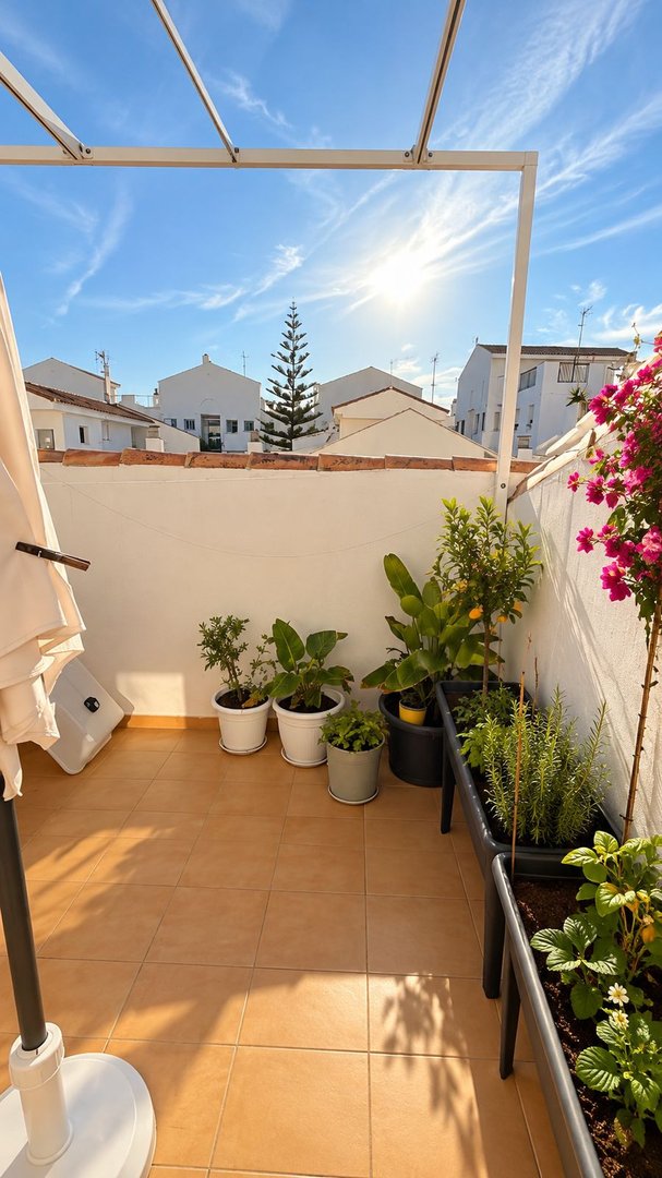 Sunny balcony with potted plants, including a lemon tree and strawberry plants, overlooking rooftops.