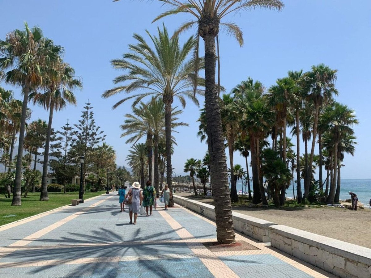 Beach promenade with palm trees, people walking, and sea view under clear sky