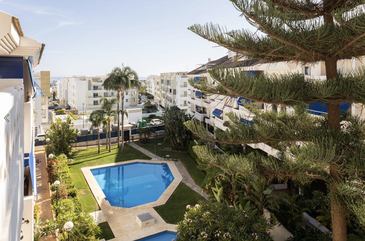 Apartment view of a swimming pool surrounded by palm trees and buildings