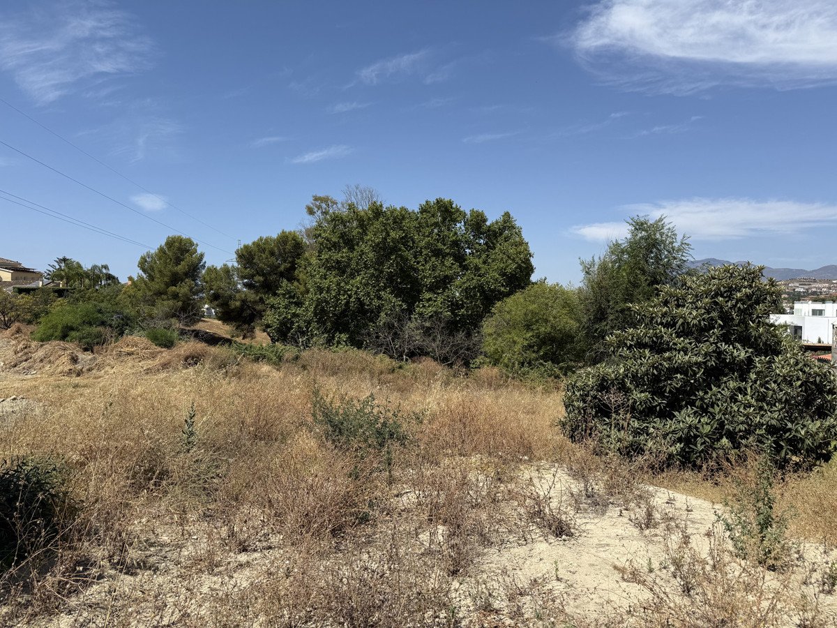 A plot of dry land with lush green trees and distant buildings under a blue sky with scattered clouds.