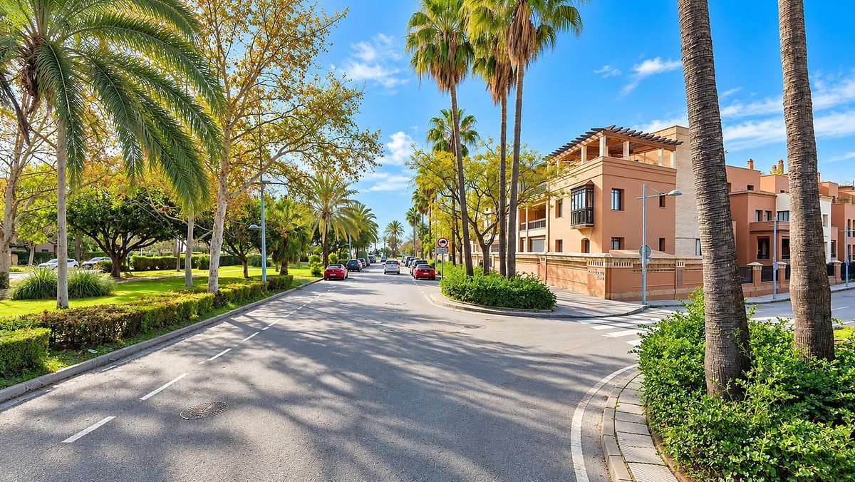 Sunny suburban street with palm trees, green lawns, and modern residential buildings under a blue sky.