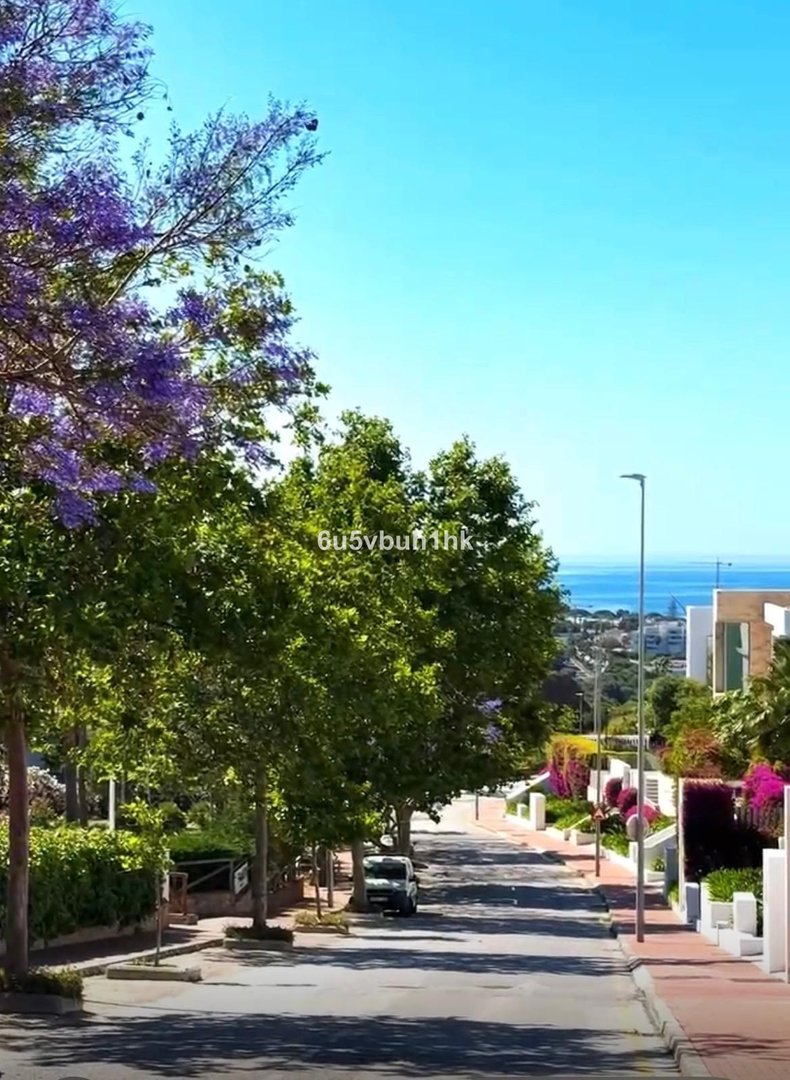 Sunny street lined with trees and flowers, leading down to a distant view of the sea and buildings.