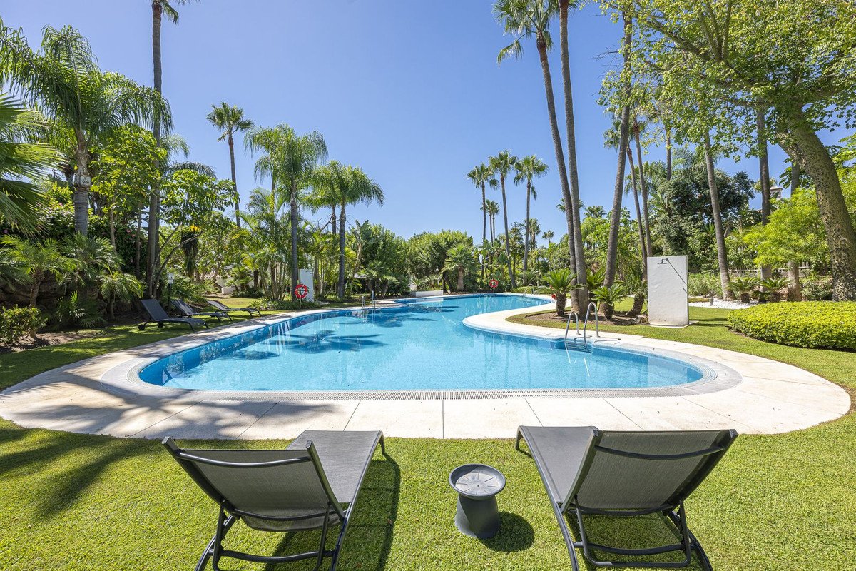 Sunny resort-style swimming pool surrounded by palm trees and manicured gardens, with lounge chairs on the grass.