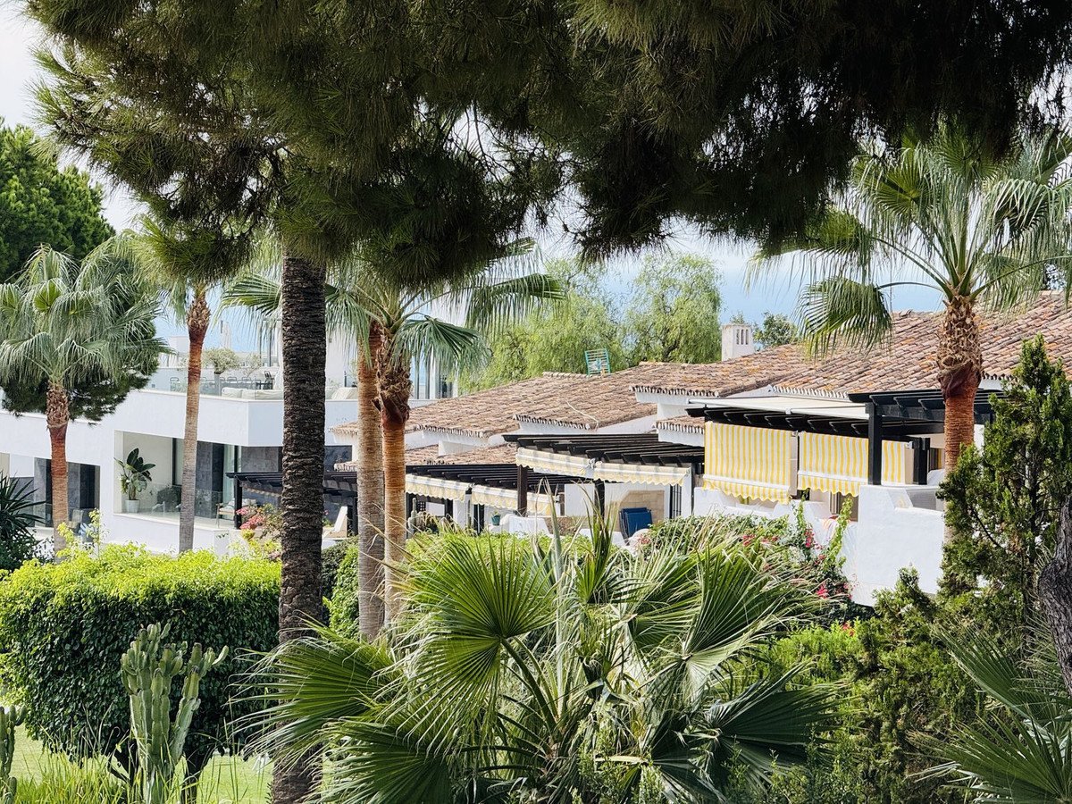 A view of a resort with palm trees and a terrace area with yellow awnings, surrounded by lush greenery.