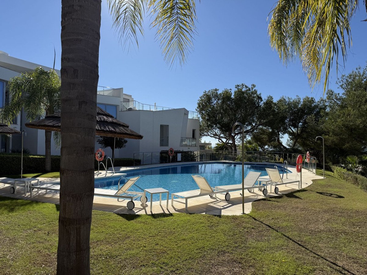 Outdoor swimming pool with lounge chairs and umbrellas, surrounded by palm trees and lush green grass under a clear blue sky.