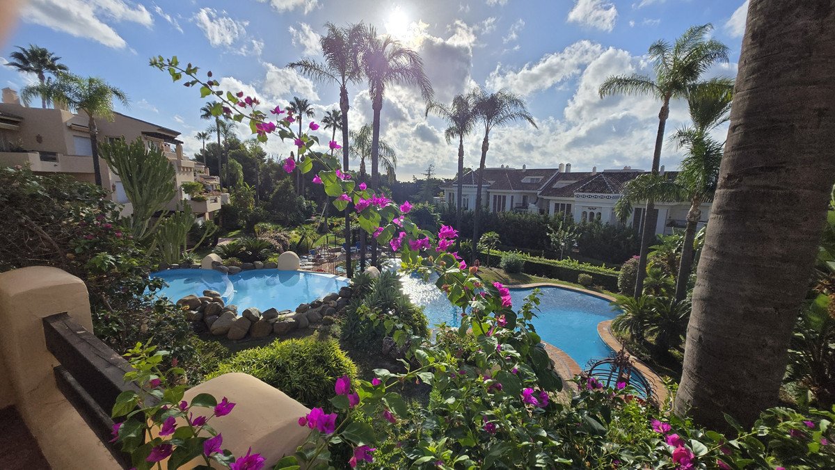 Lush tropical landscaping surrounds two sparkling pools with palm trees and buildings in the background under a sunny sky.
