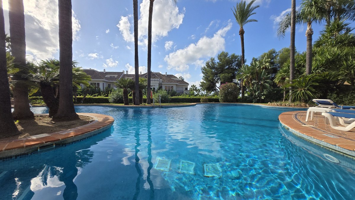 Resort swimming pool with palm trees and lounge chairs, offering a beautiful view of buildings and blue sky.