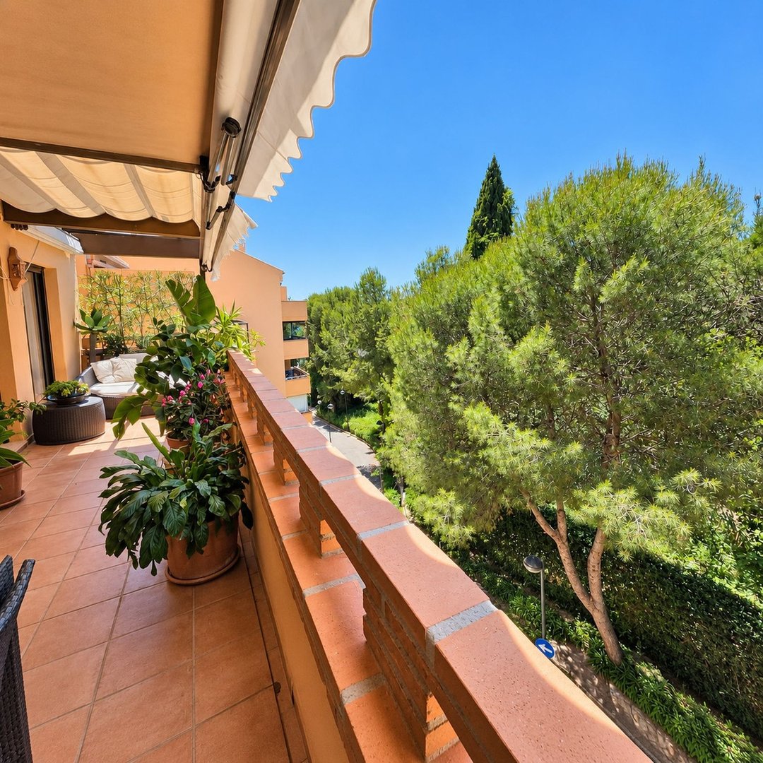 A sunny terrace with potted plants, outdoor seating, and lush green trees visible beyond the railing.