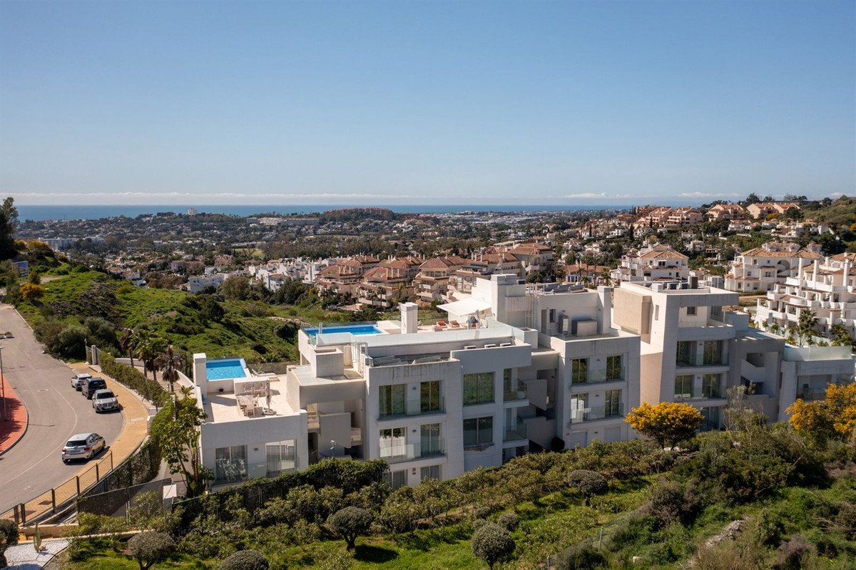 24 photo
