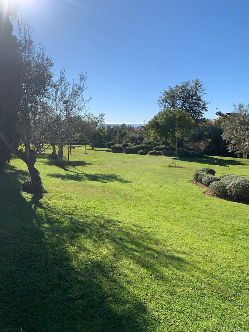 Land in The Golden Mile in The Golden Mile — Land