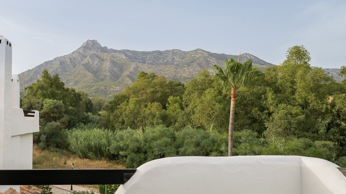 Balcony with mountain view and palm trees in the foreground