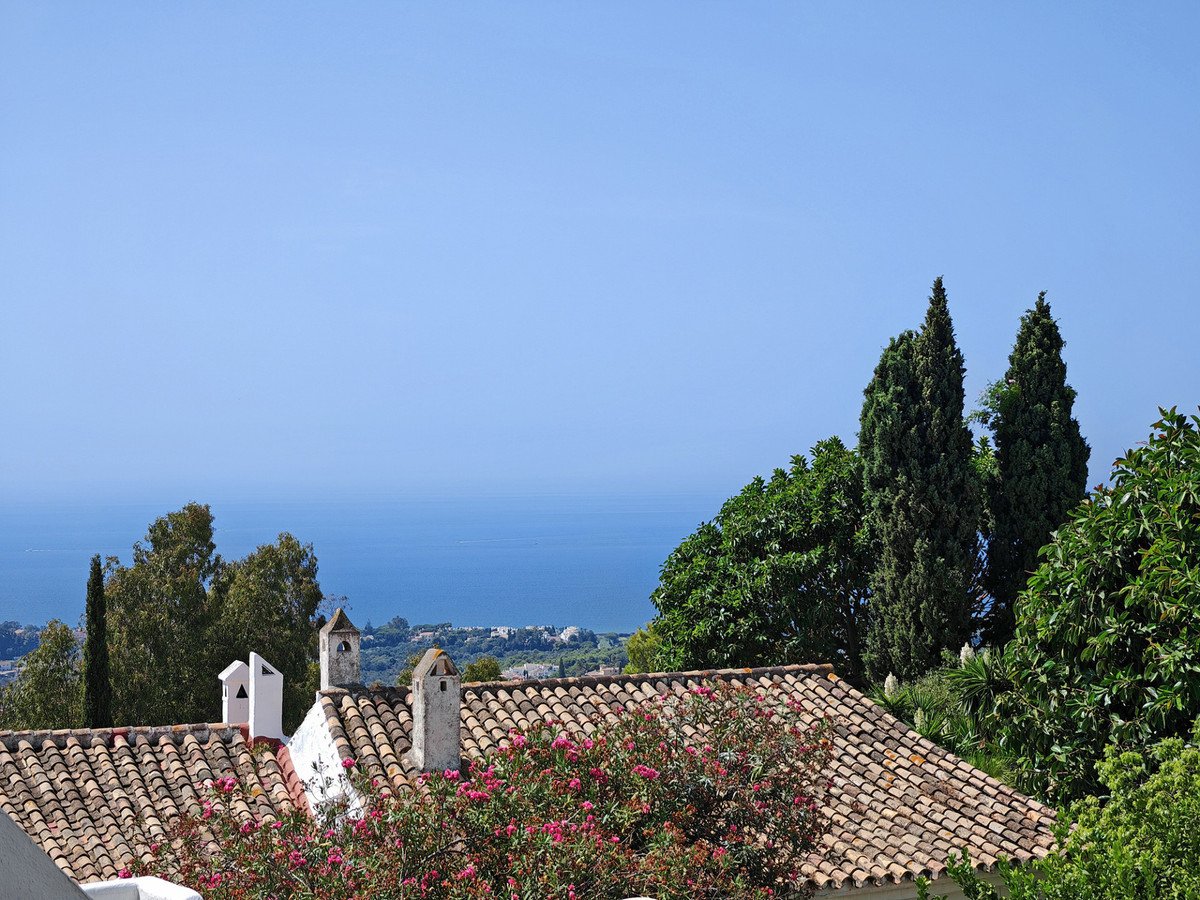 03 photo