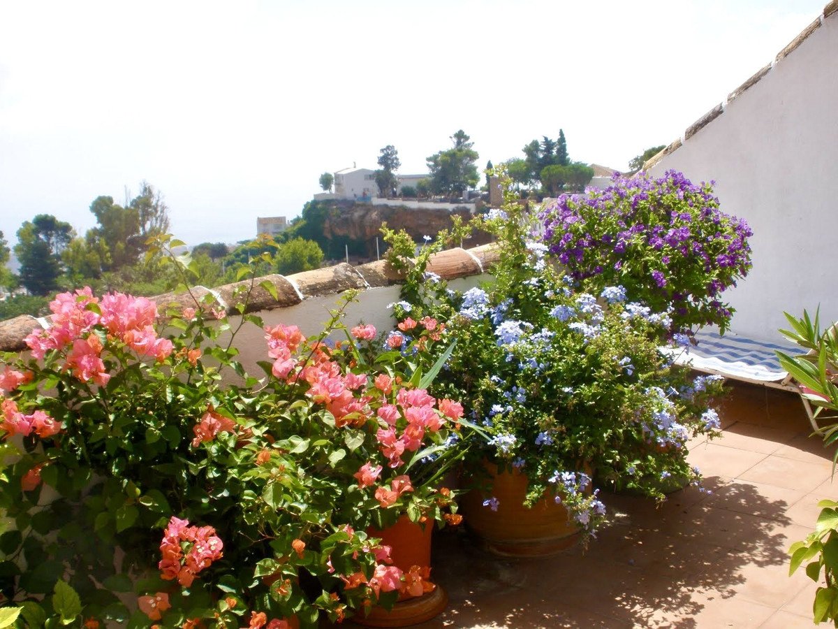 04 photo