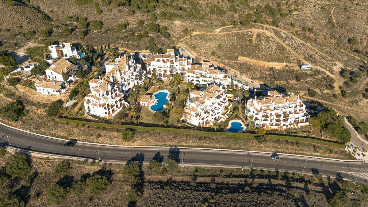 04 photo
