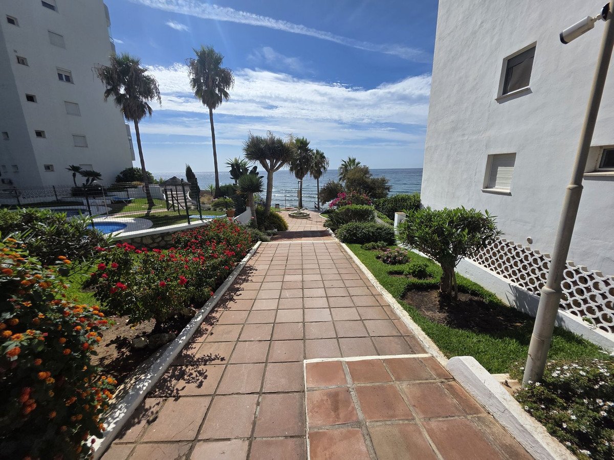 Tiled pathway leads past a pool and flowering bushes towards the sea, with palm trees and white buildings.