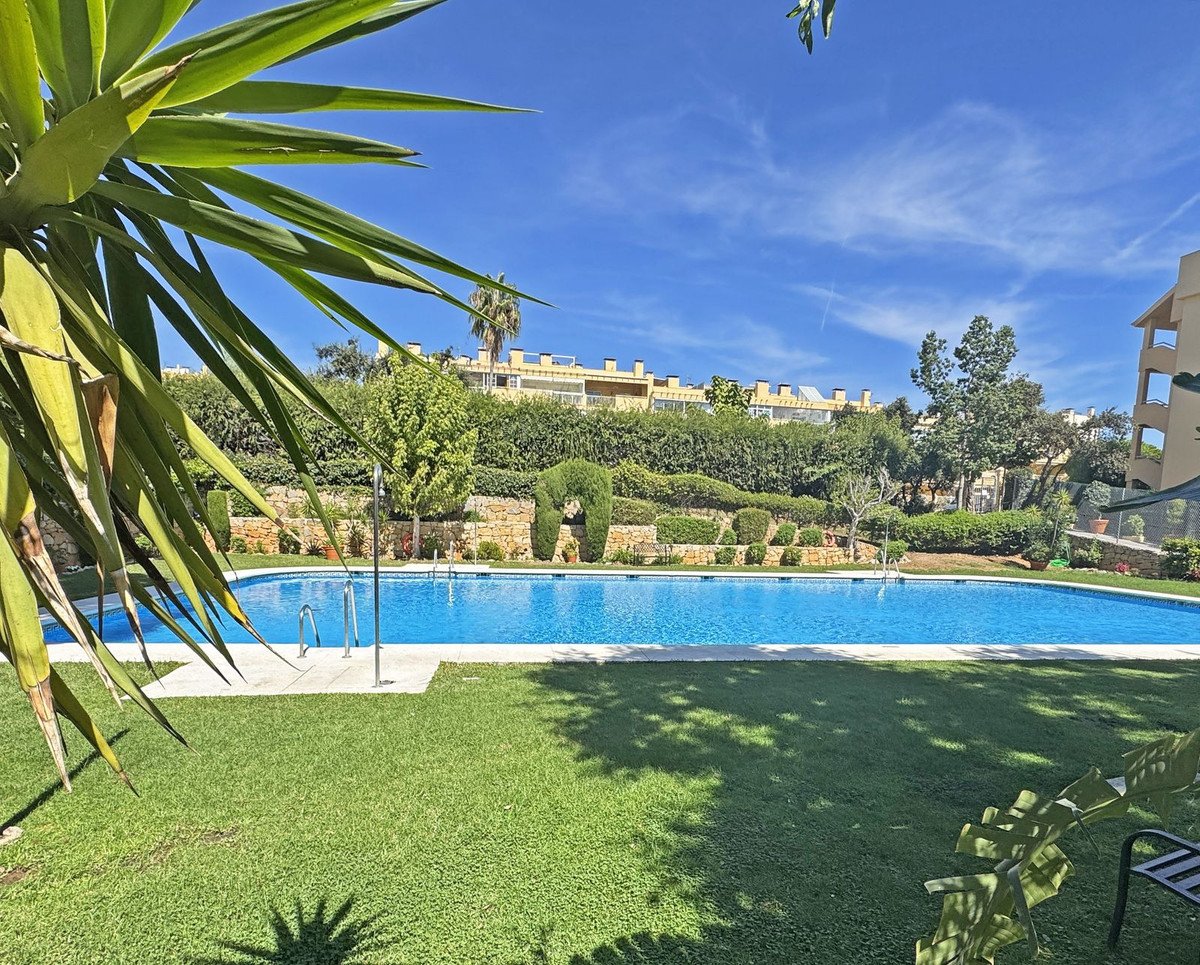 A sunny day shows a swimming pool surrounded by a lush green lawn and trees, with buildings on a hill in the background.
