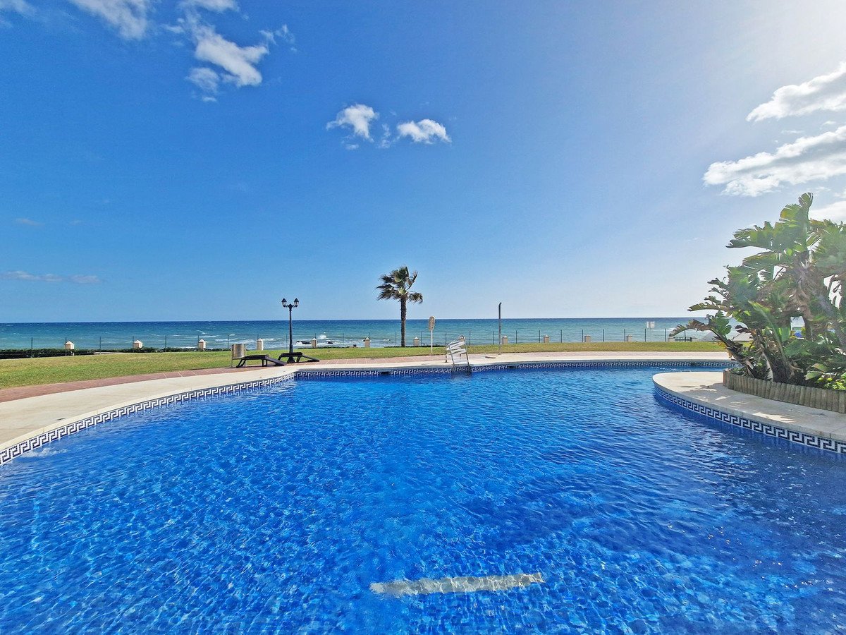 A bright blue swimming pool with the sea and a palm tree visible in the background under a clear sky.