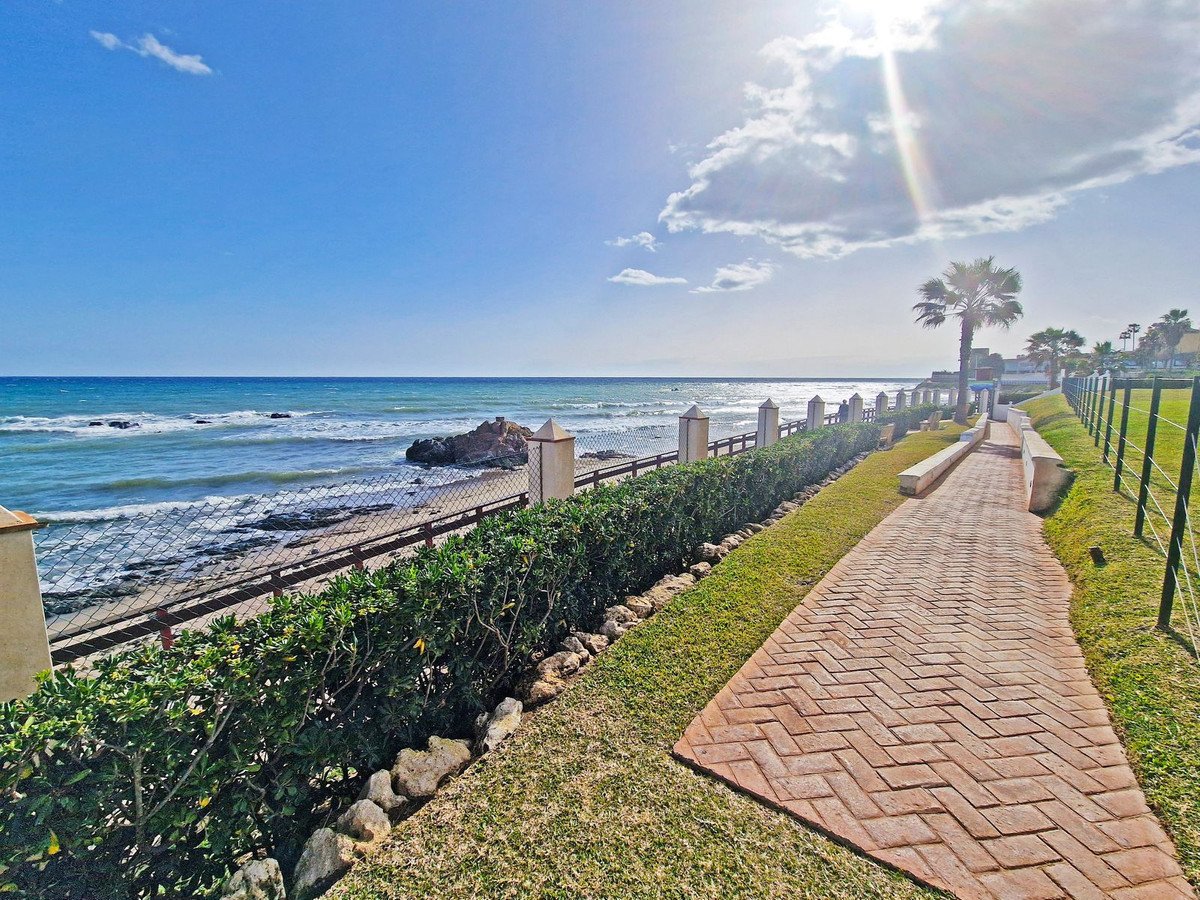 Brick pathway leading to the sea with waves, a palm tree, and green lawn on a sunny day.
