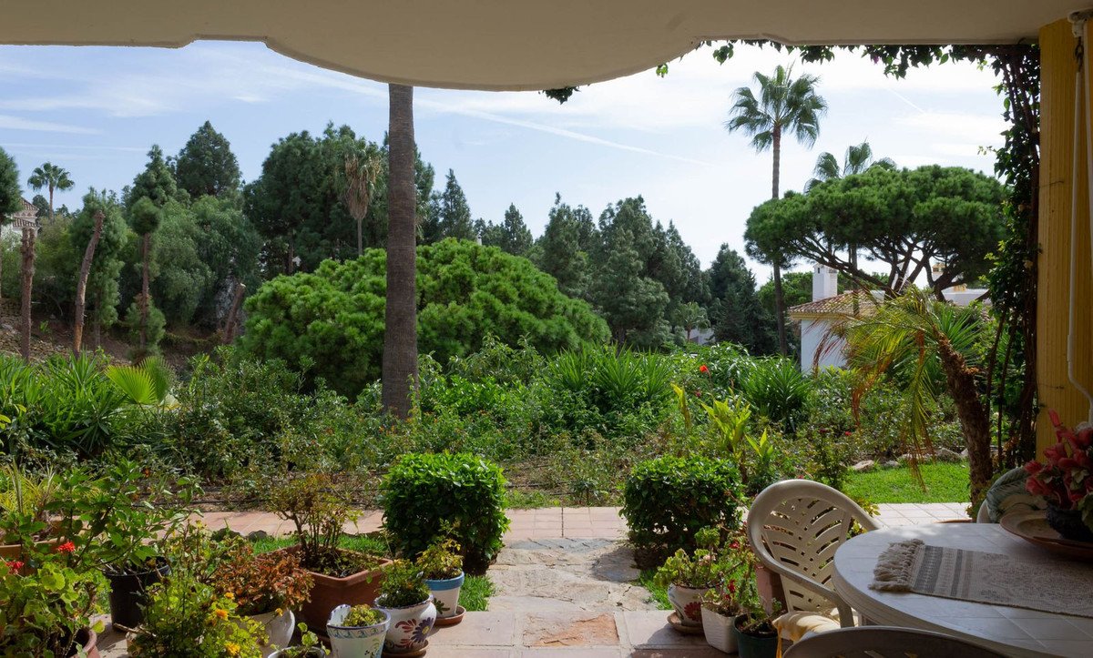 A covered patio overlooking a lush tropical garden with palm trees and a clear blue sky.