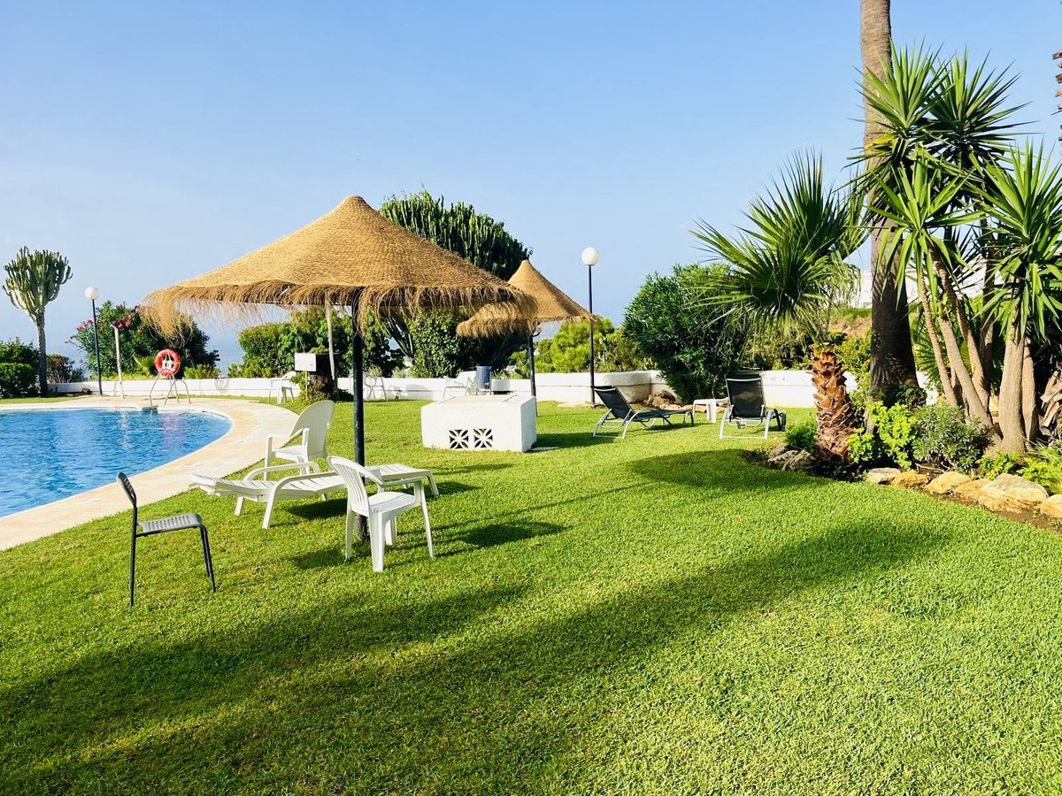 A sunny outdoor area with a swimming pool, manicured lawn, thatched umbrellas, sun loungers, and palm trees.
