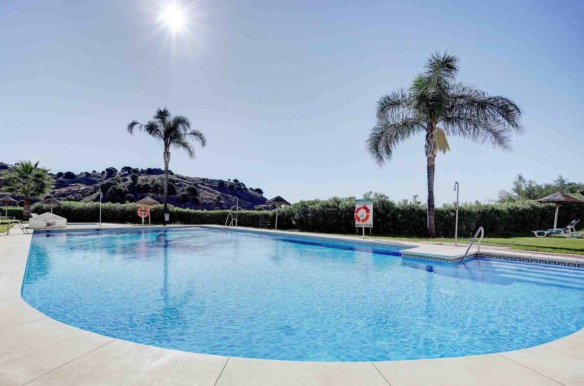 A bright, sunny day at a communal swimming pool with palm trees, loungers, and a hill in the background.