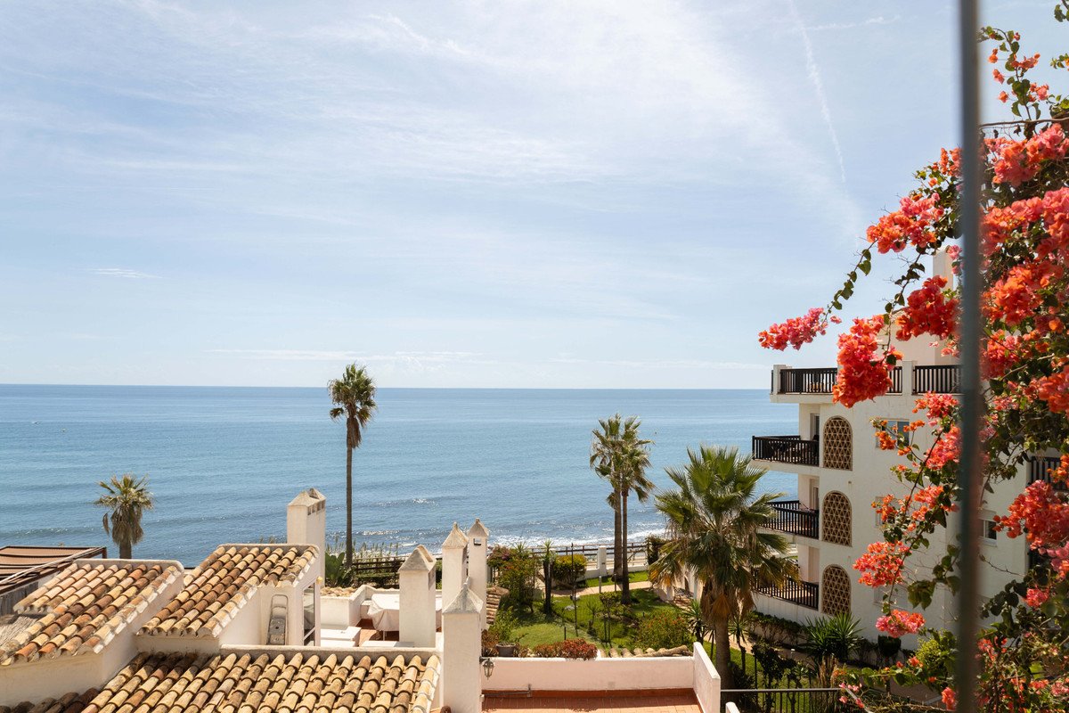 A beautiful sea view from a balcony with palm trees, flowers, and part of a white building.