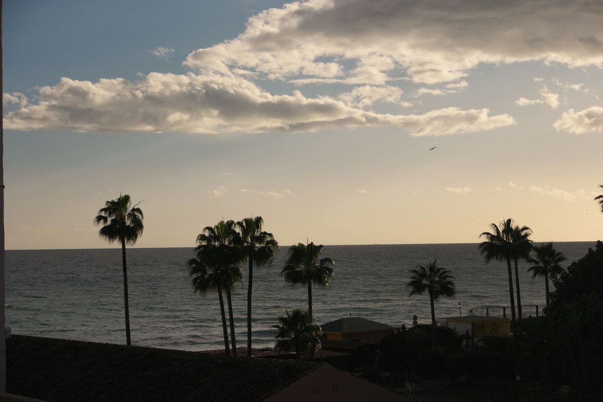 46 photo