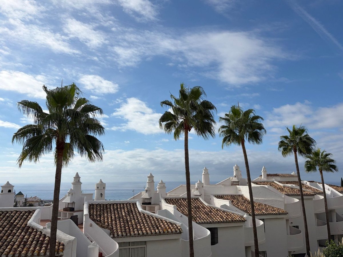 White apartment rooftops with terracotta tiles and tall palm trees under blue sky.