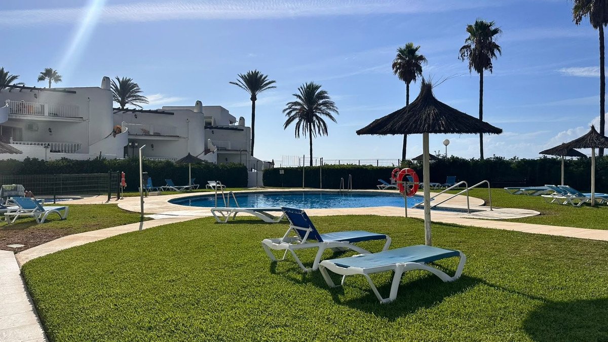 A sunny day by the communal swimming pool with palm trees and sun loungers, overlooking the sea in the distance.