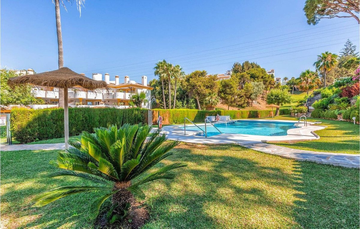 Resort pool area with lawn, palm trees, and thatched umbrella