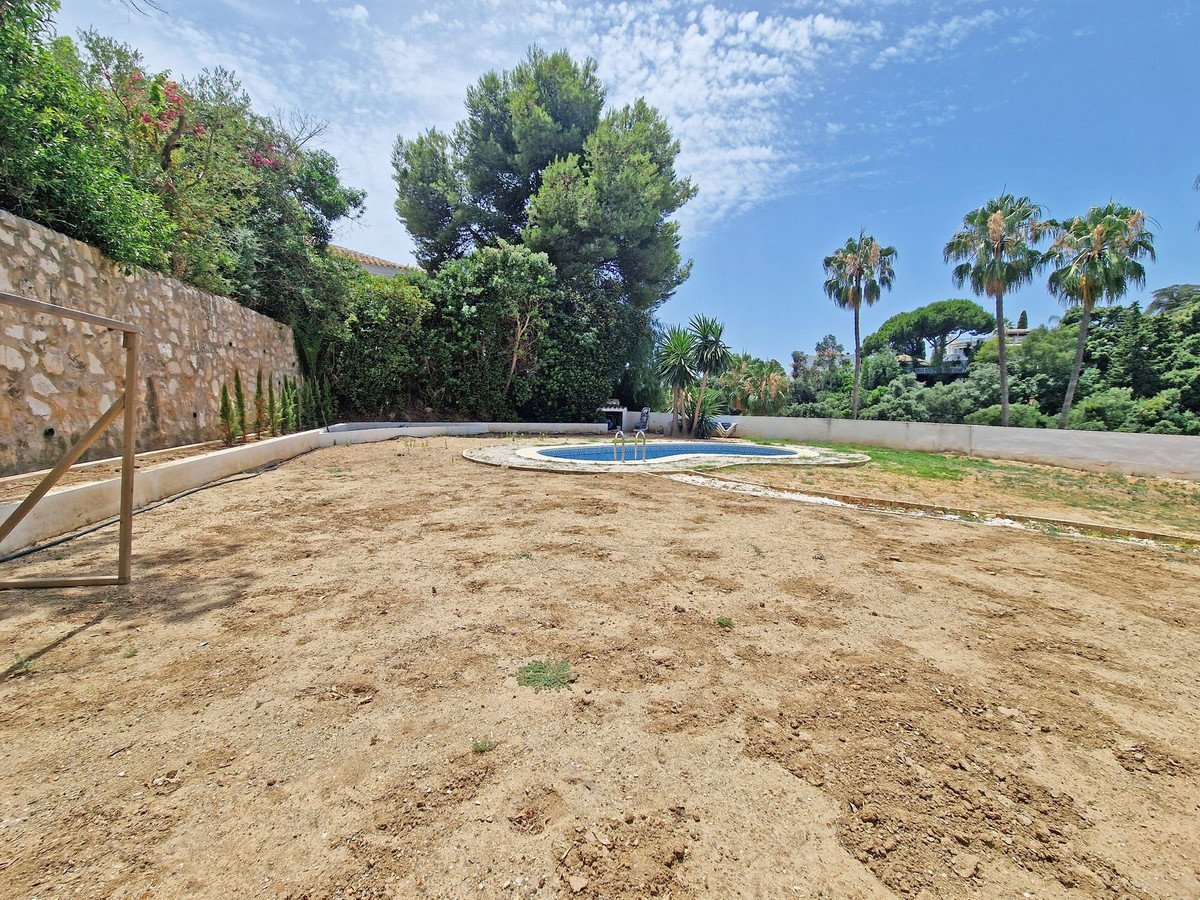 A garden with a small pool, palm trees, and lush greenery under a blue sky.